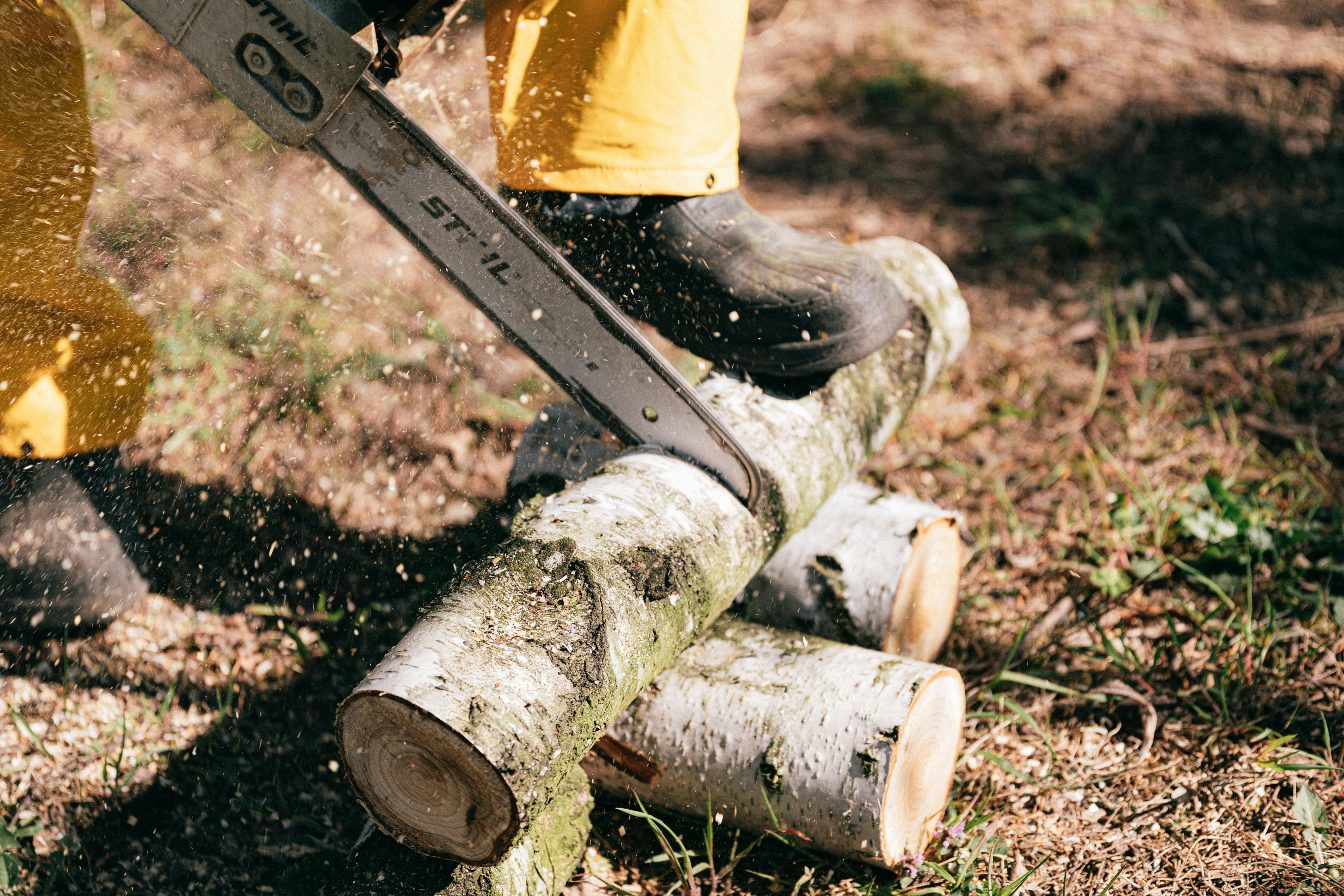 Stihl Akku Kettensäge im Einsatz