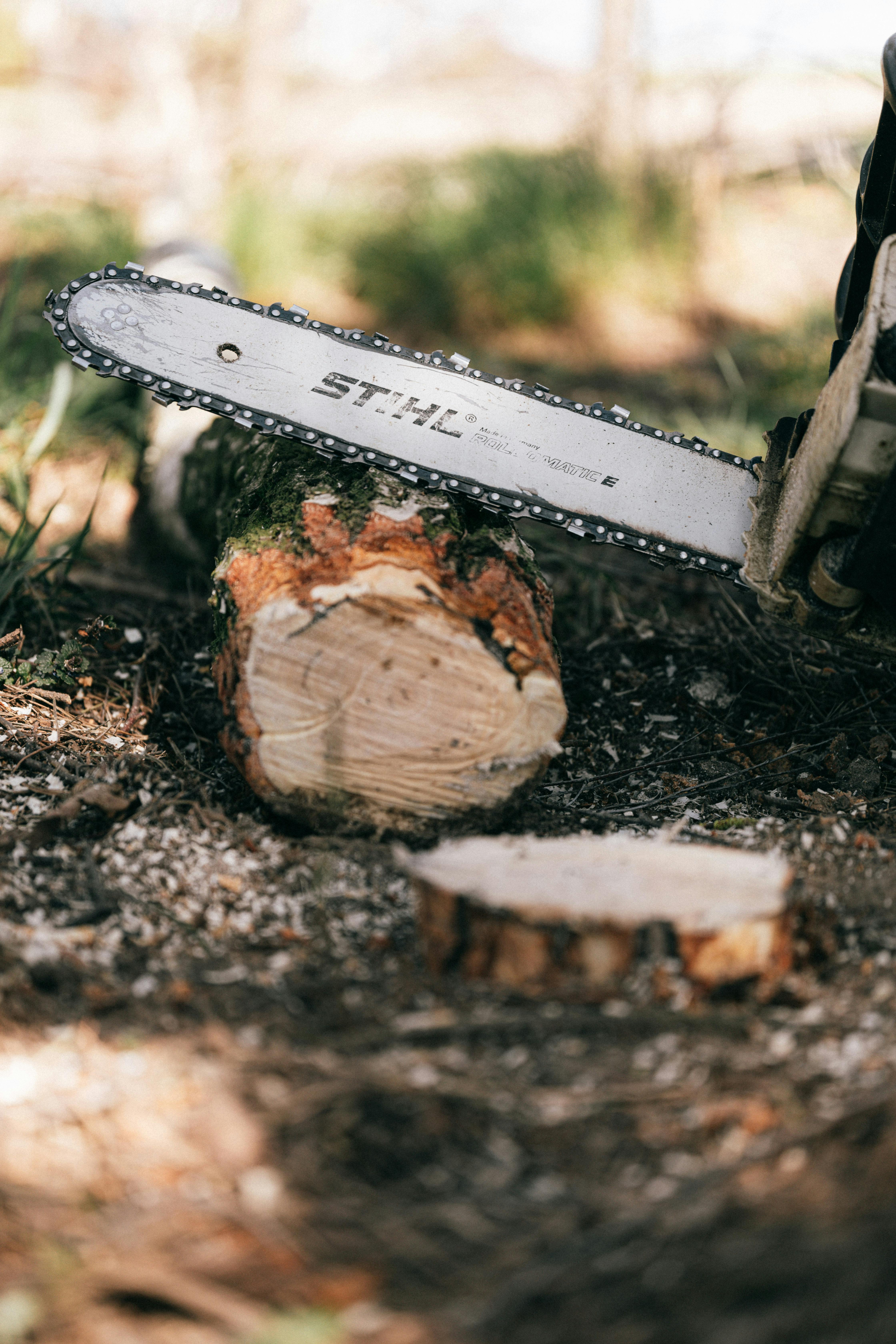 Brennholz mit Stihl Akku Kettensäge schneiden